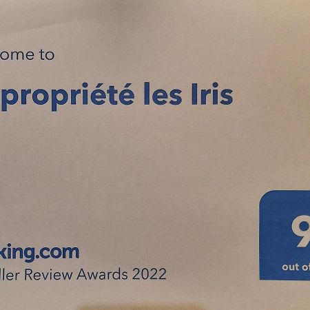 Copropriete Les Iris Appartement Saint-Etienne  Buitenkant foto