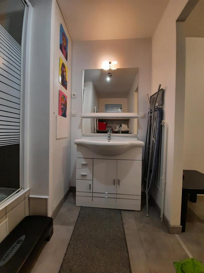 Copropriete Les Iris Appartement Saint-Etienne  Buitenkant foto