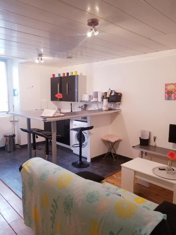 Copropriete Les Iris Appartement Saint-Etienne  Buitenkant foto